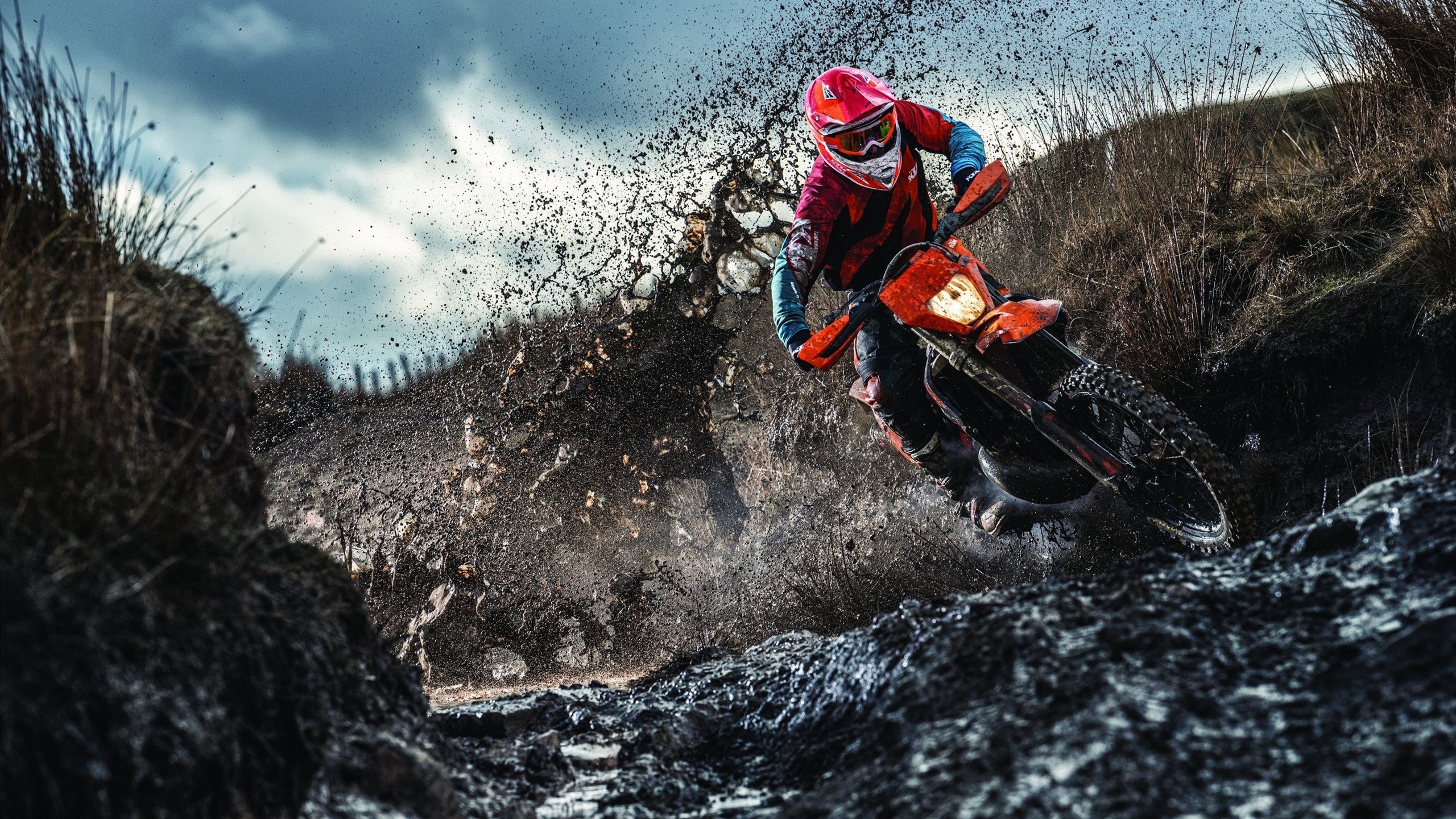 米兰体育登录-安东·李恩：他是全黑队防守和进攻的双重保障，能力全面，安东内利什么水平